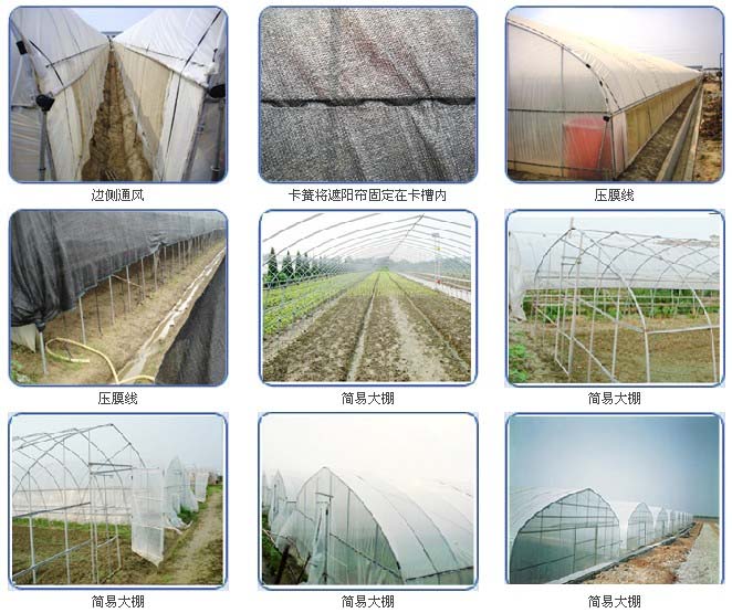 固定大棚薄膜，簡易大棚安裝完成