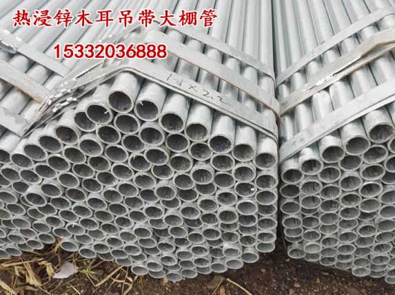 熱浸鋅木耳吊袋大棚管圖片 熱浸鋅木耳吊袋大棚管圖片